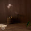 Slatpanel® Luxury Walnut Non-Acoustic Wide Slat Wood Wall Panels